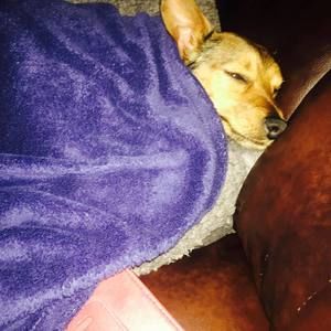 Meet your Posher, Donna